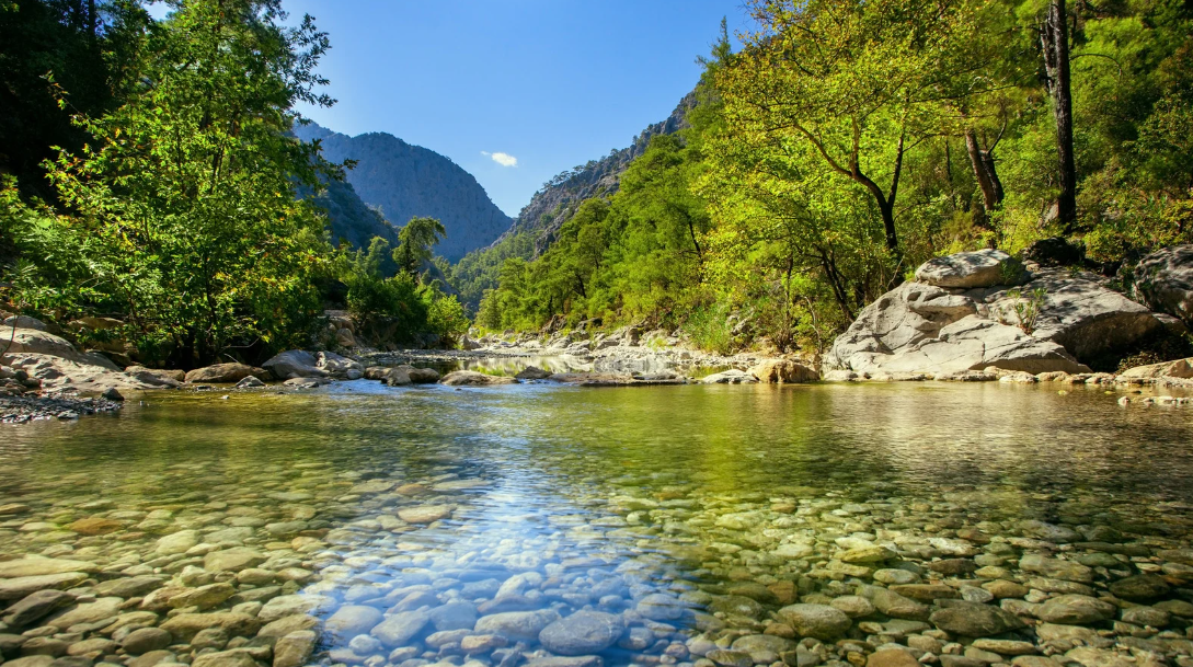 環境DNA（eDNA）と生物多様性モニタリング